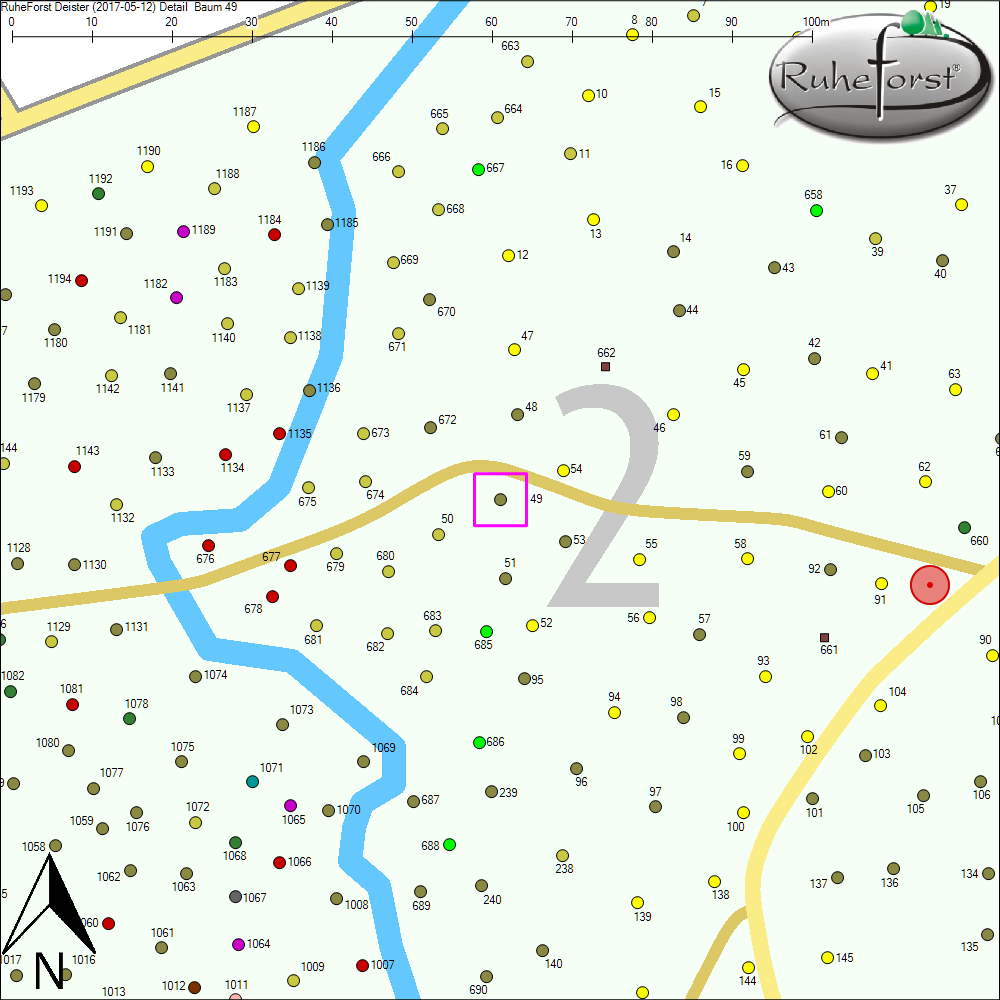 Detailkarte zu Baum 49