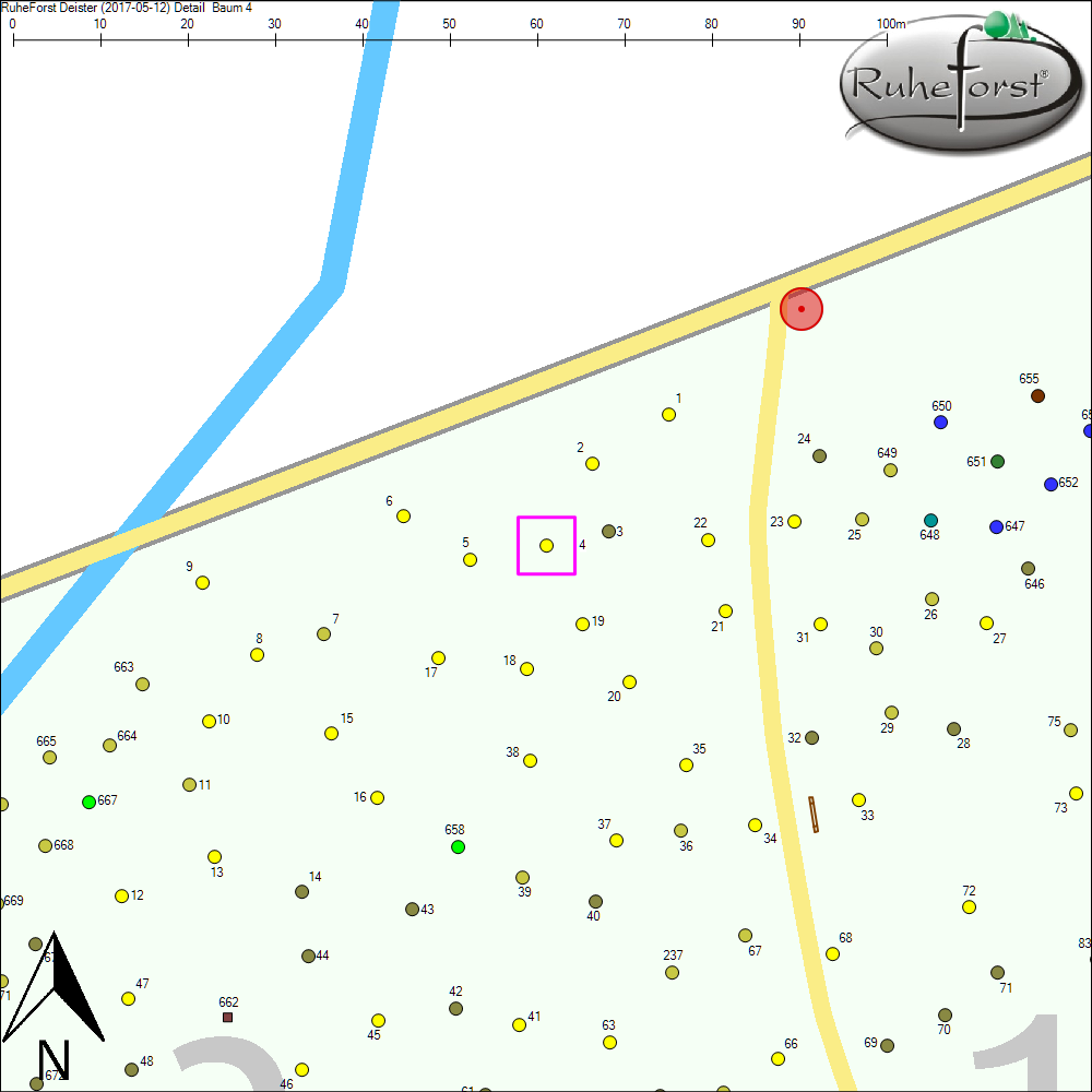 Detailkarte zu Baum 4