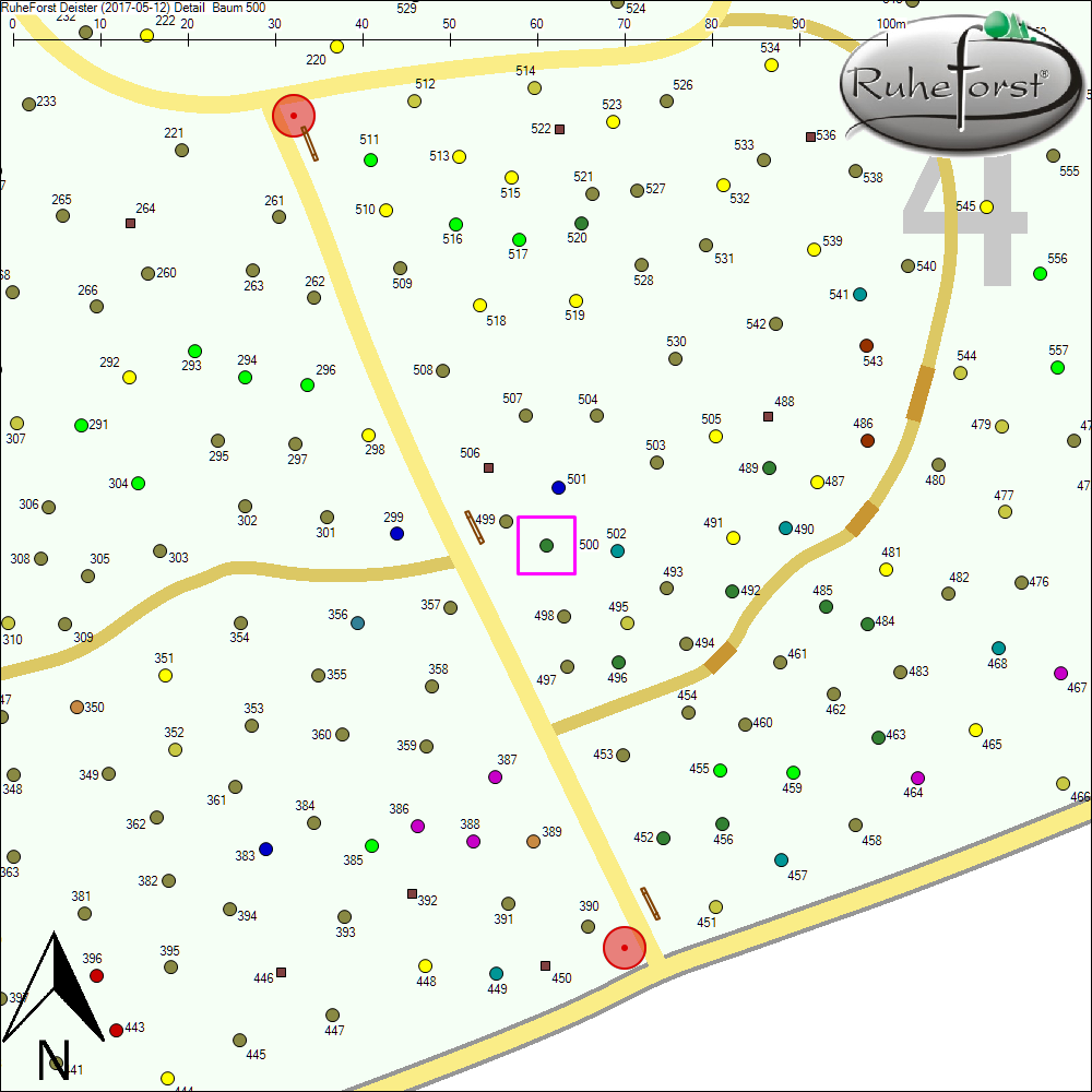 Detailkarte zu Baum 500