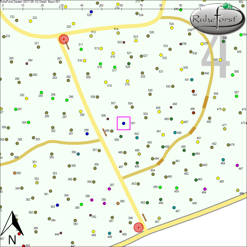 Detailkarte zu Baum 501