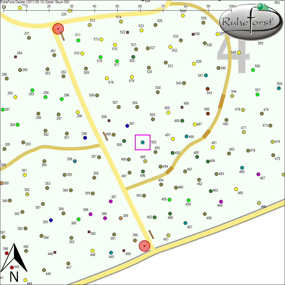 Detailkarte zu Baum 502