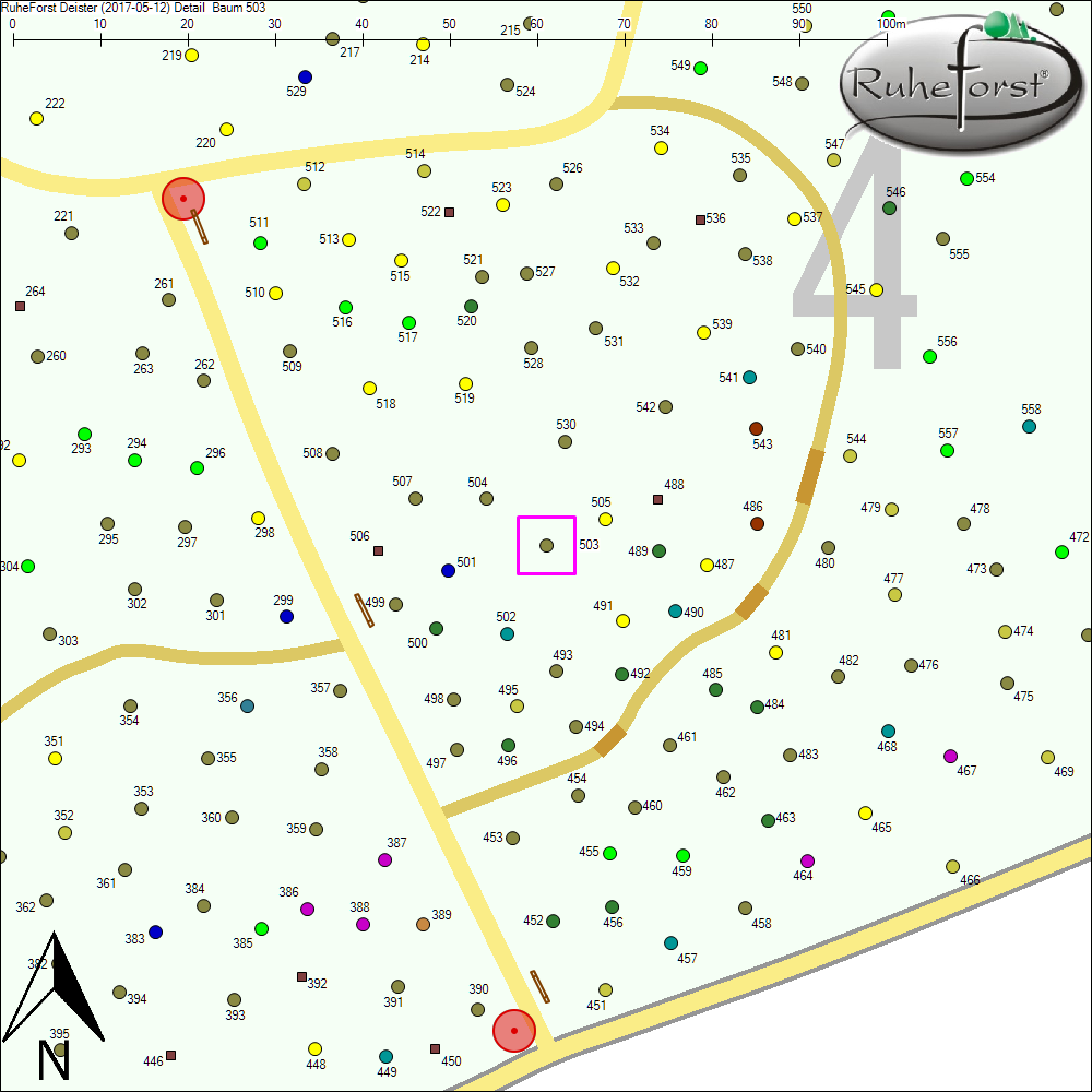 Detailkarte zu Baum 503