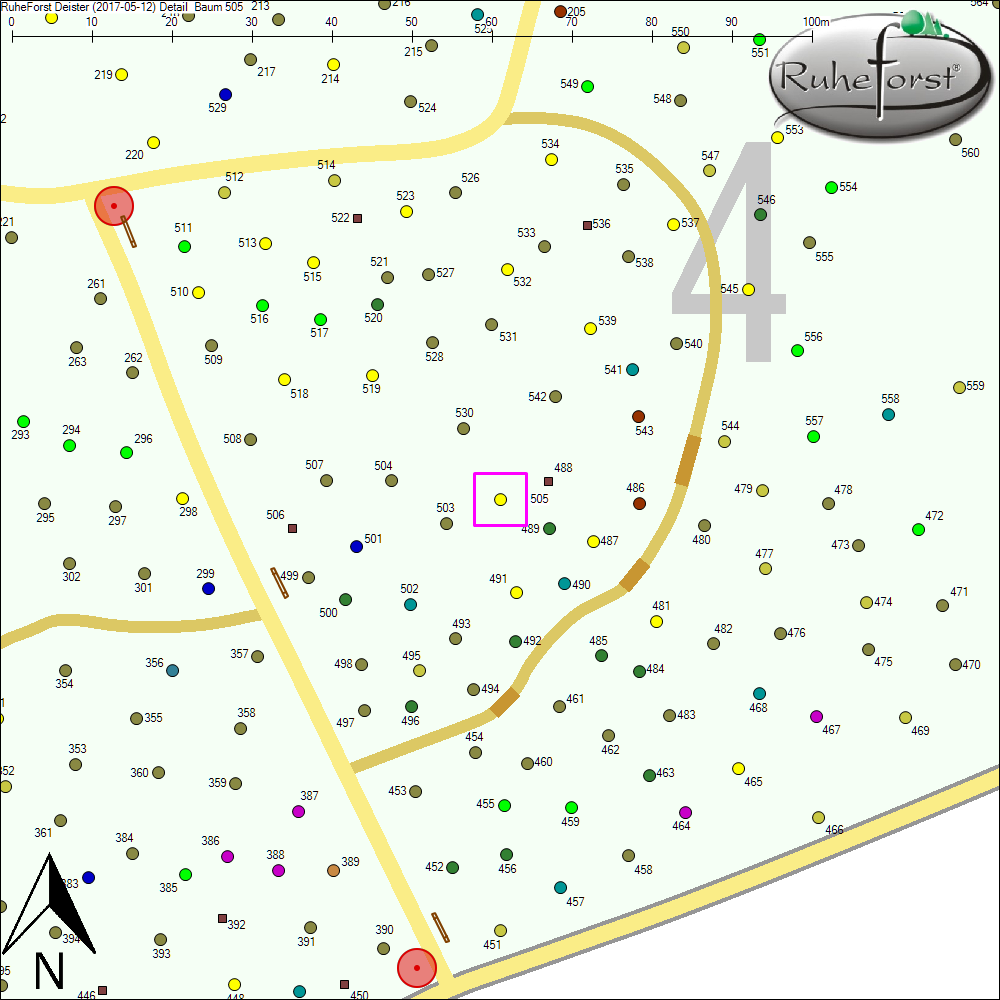 Detailkarte zu Baum 505