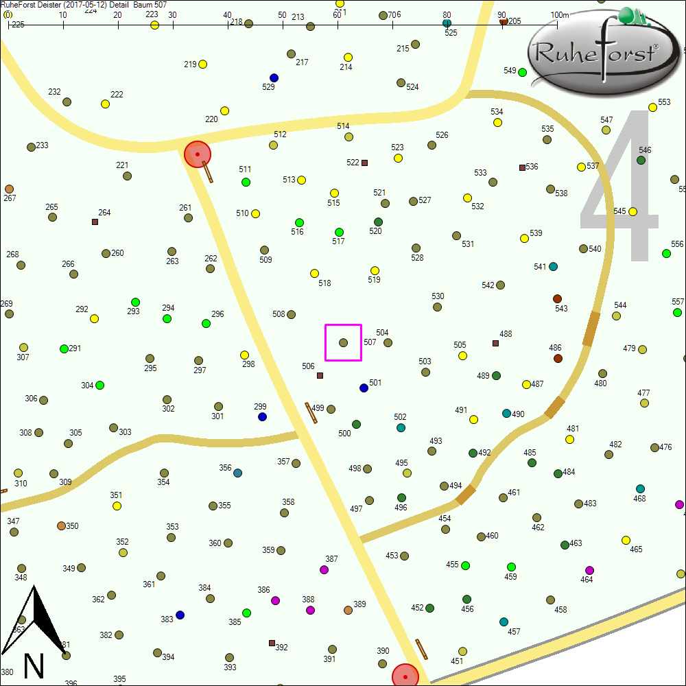 Detailkarte zu Baum 507