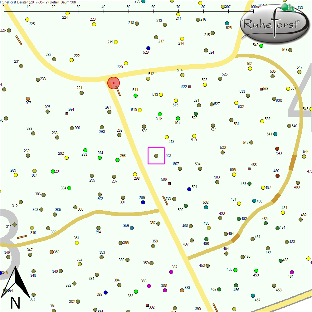 Detailkarte zu Baum 508
