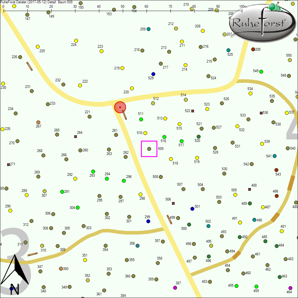 Detailkarte zu Baum 509