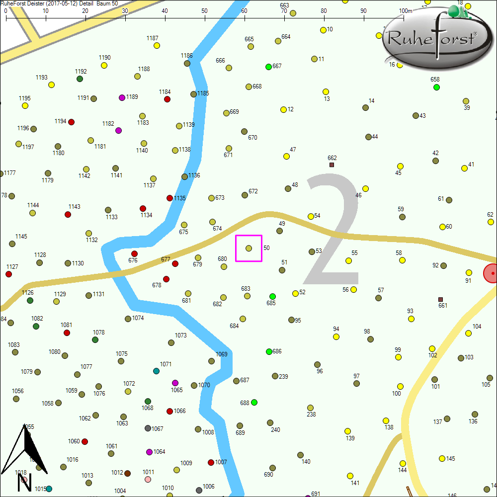 Detailkarte zu Baum 50