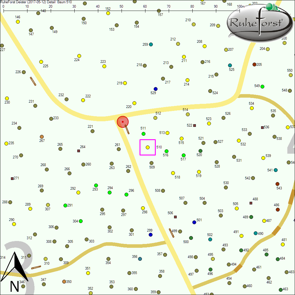 Detailkarte zu Baum 510