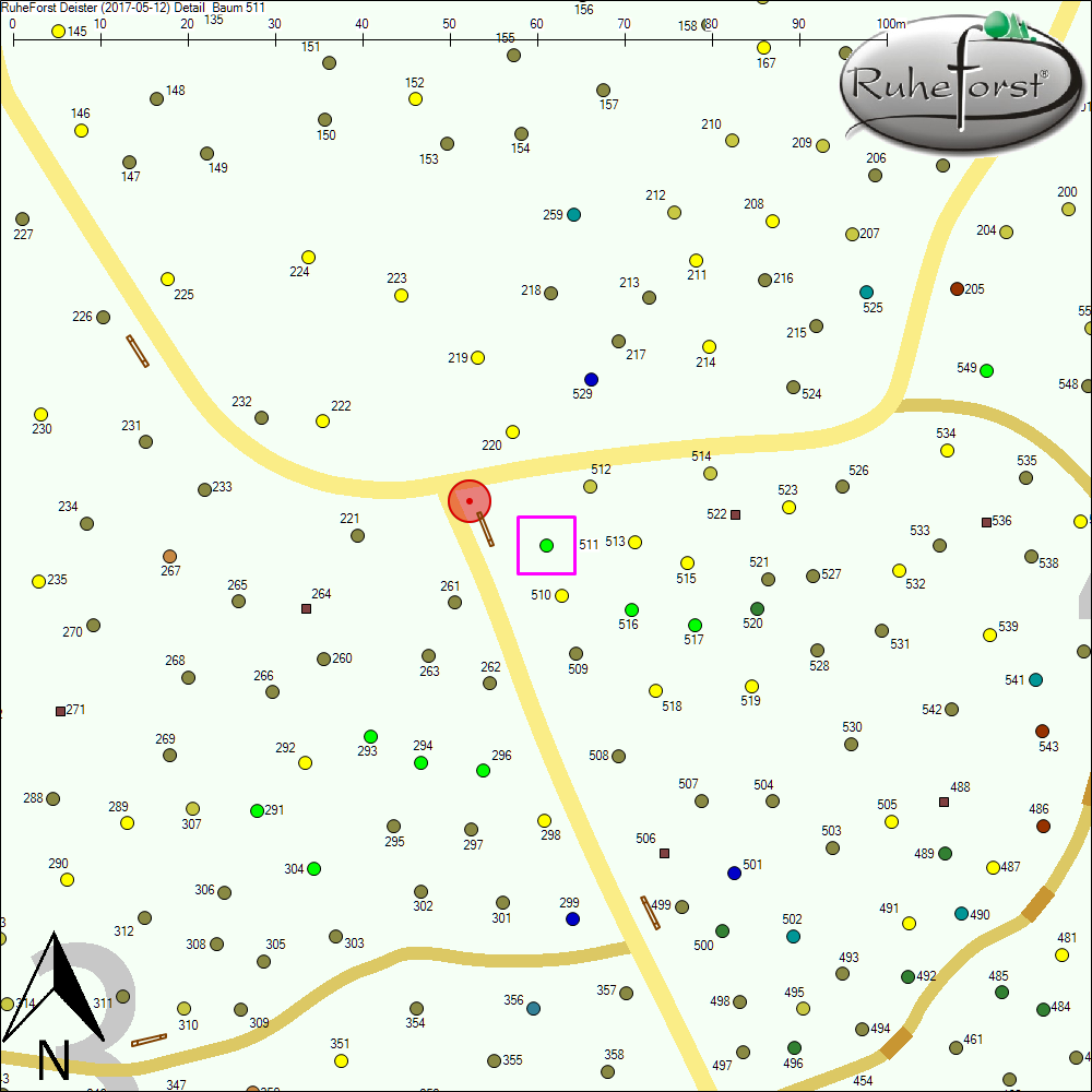 Detailkarte zu Baum 511