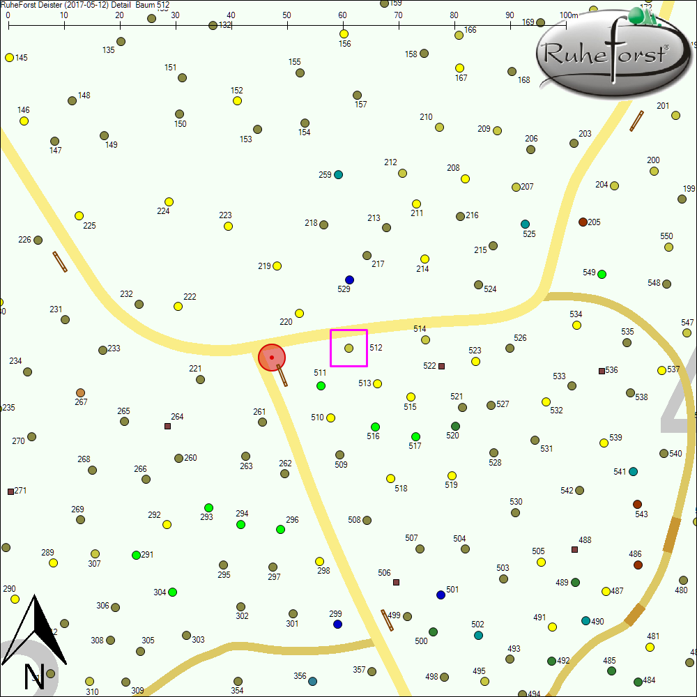 Detailkarte zu Baum 512
