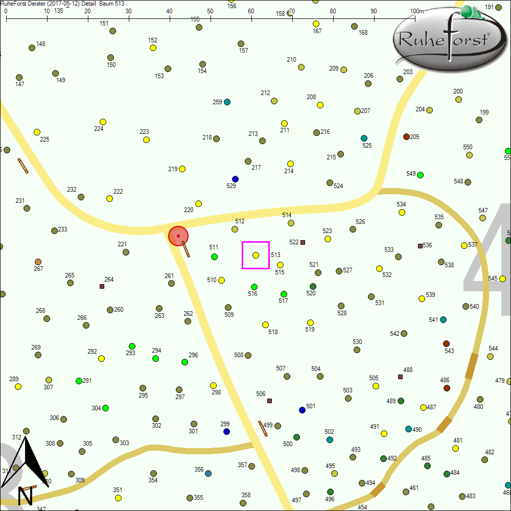 Detailkarte zu Baum 513