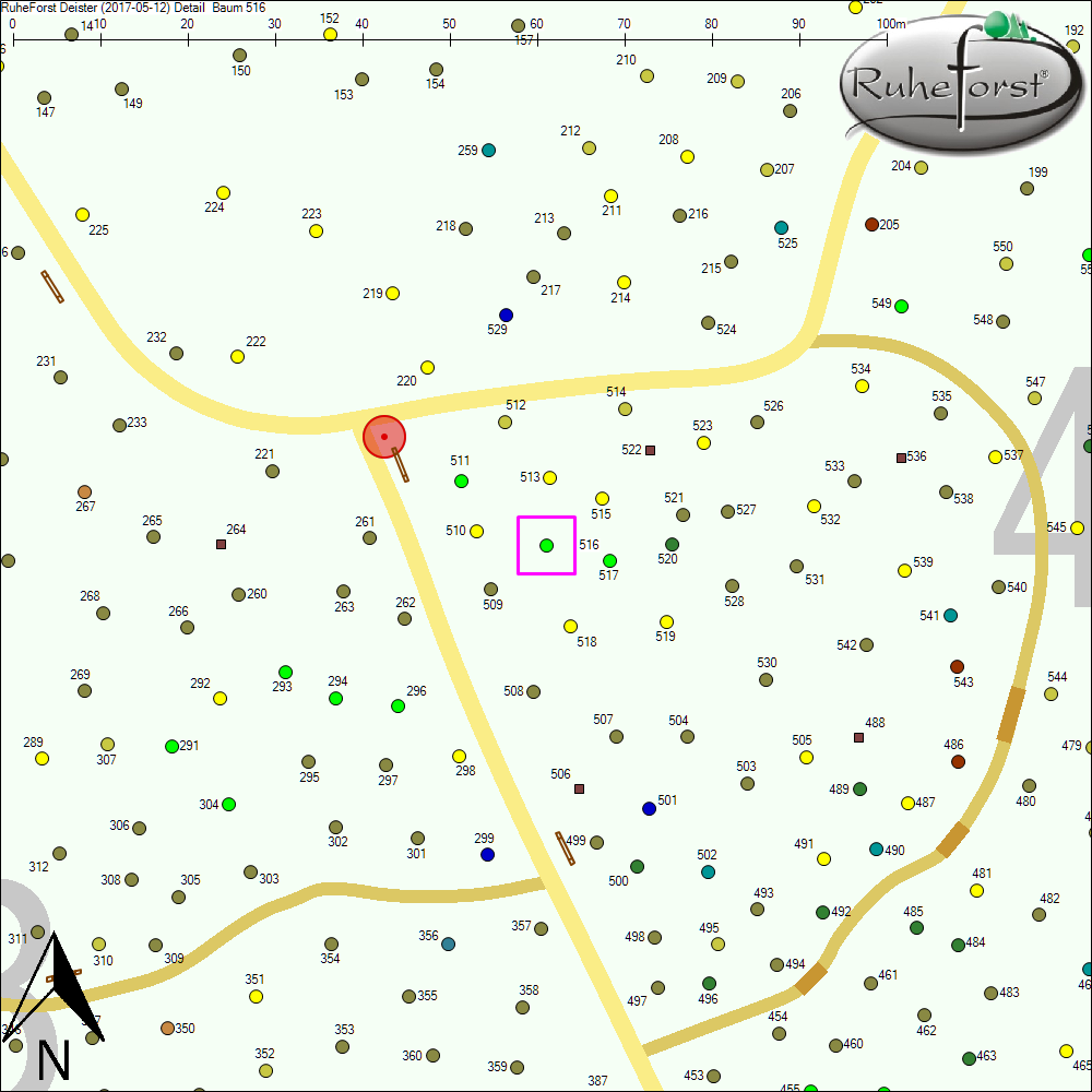 Detailkarte zu Baum 516