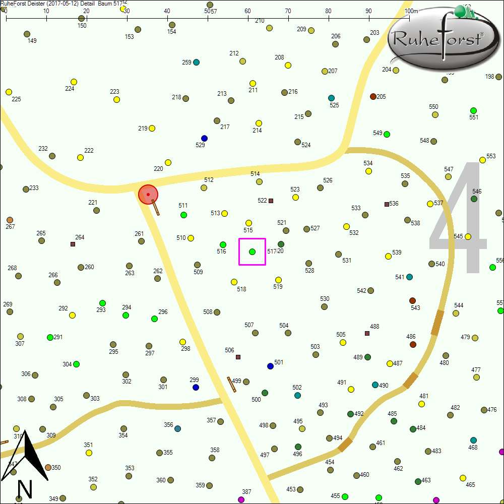 Detailkarte zu Baum 517