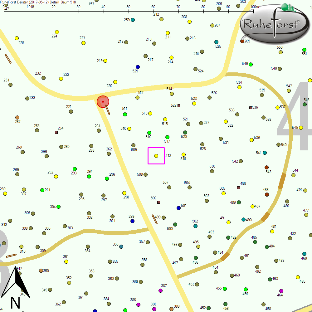 Detailkarte zu Baum 518