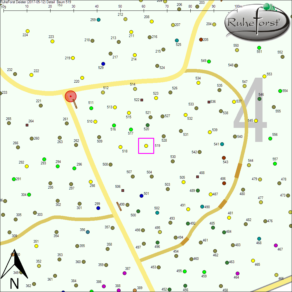 Detailkarte zu Baum 519