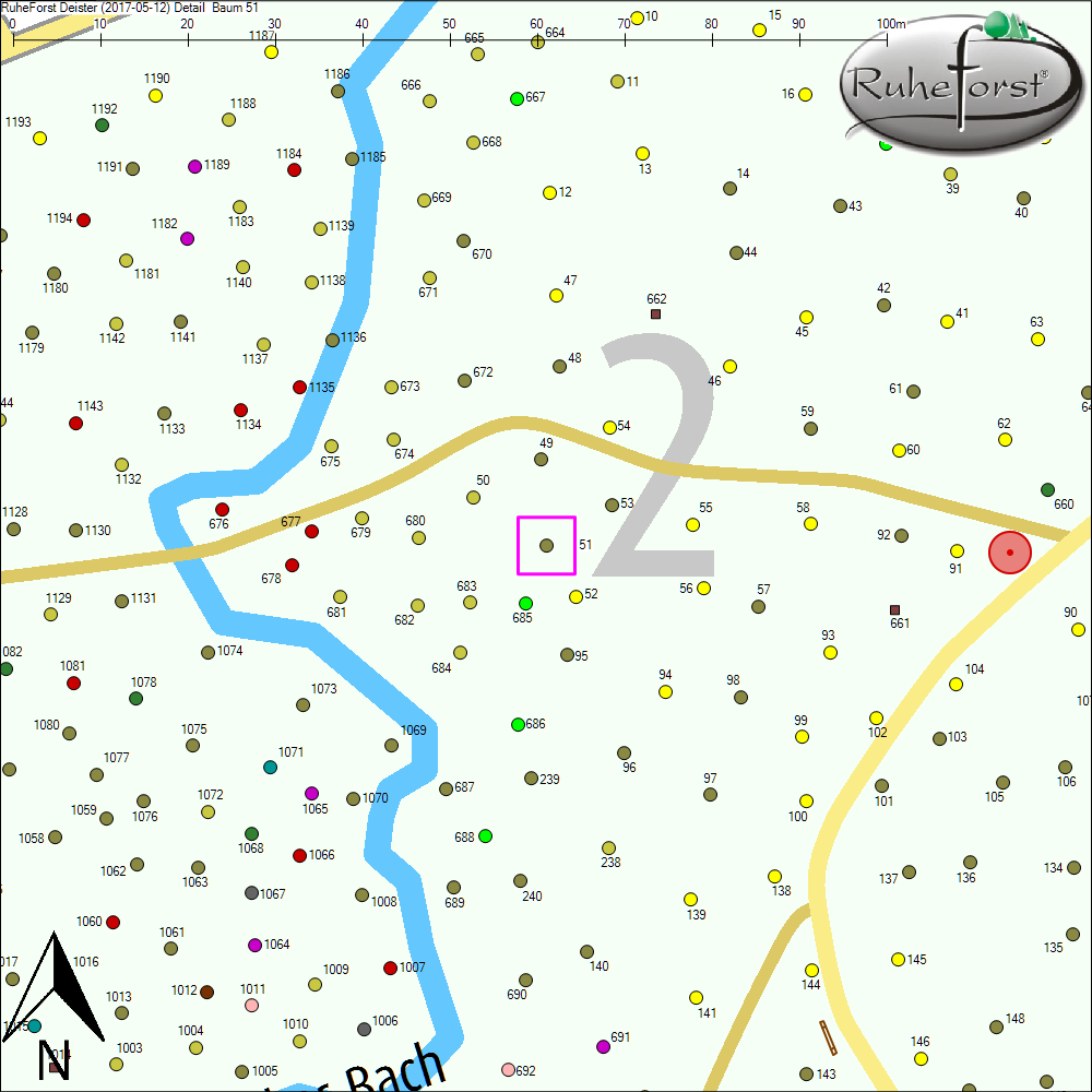 Detailkarte zu Baum 51