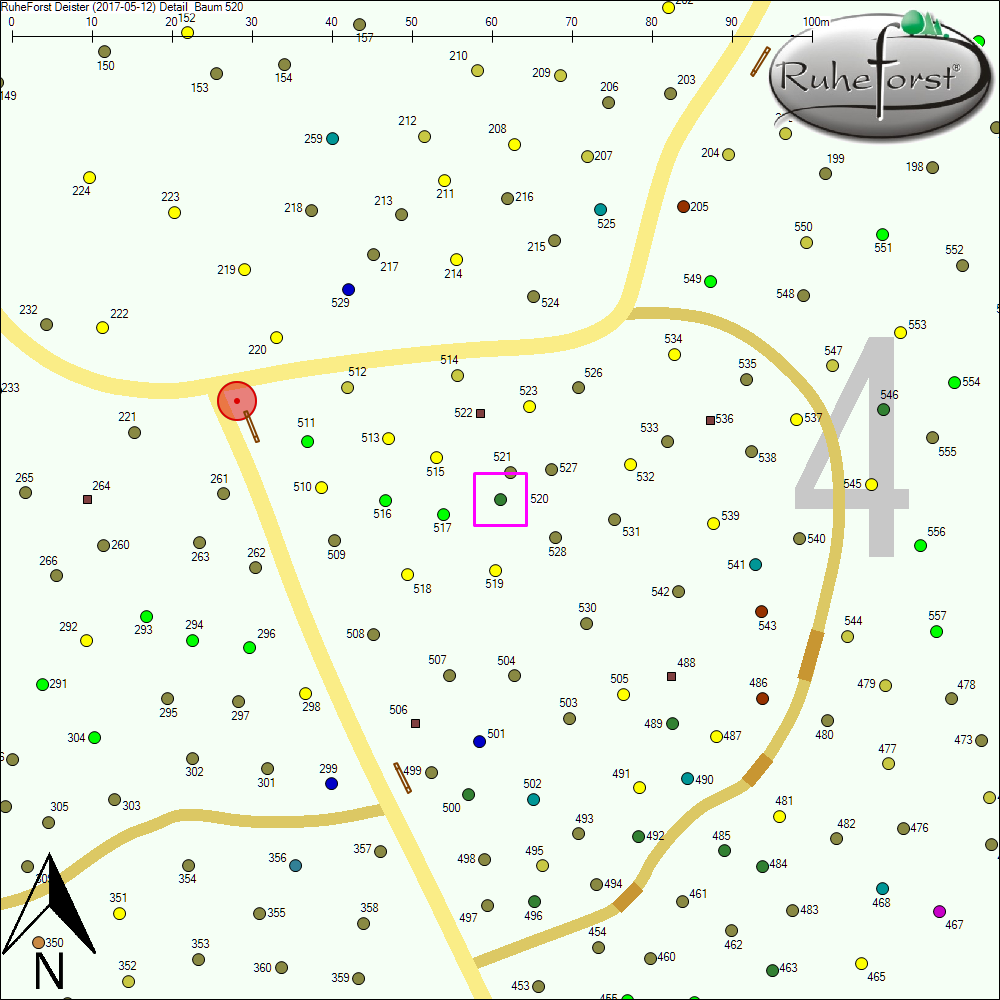Detailkarte zu Baum 520