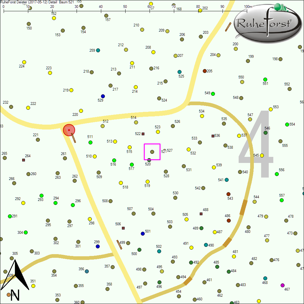 Detailkarte zu Baum 521