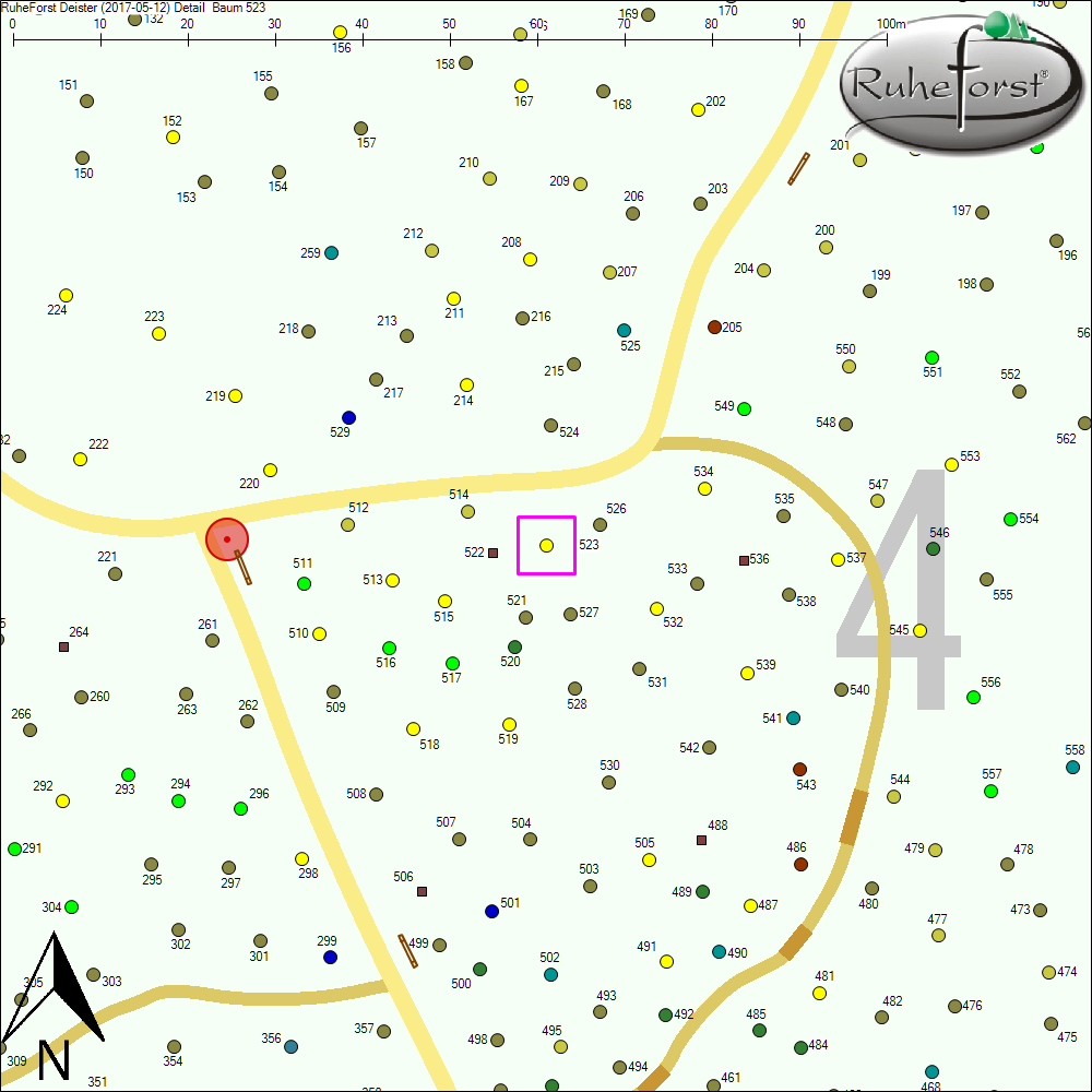 Detailkarte zu Baum 523