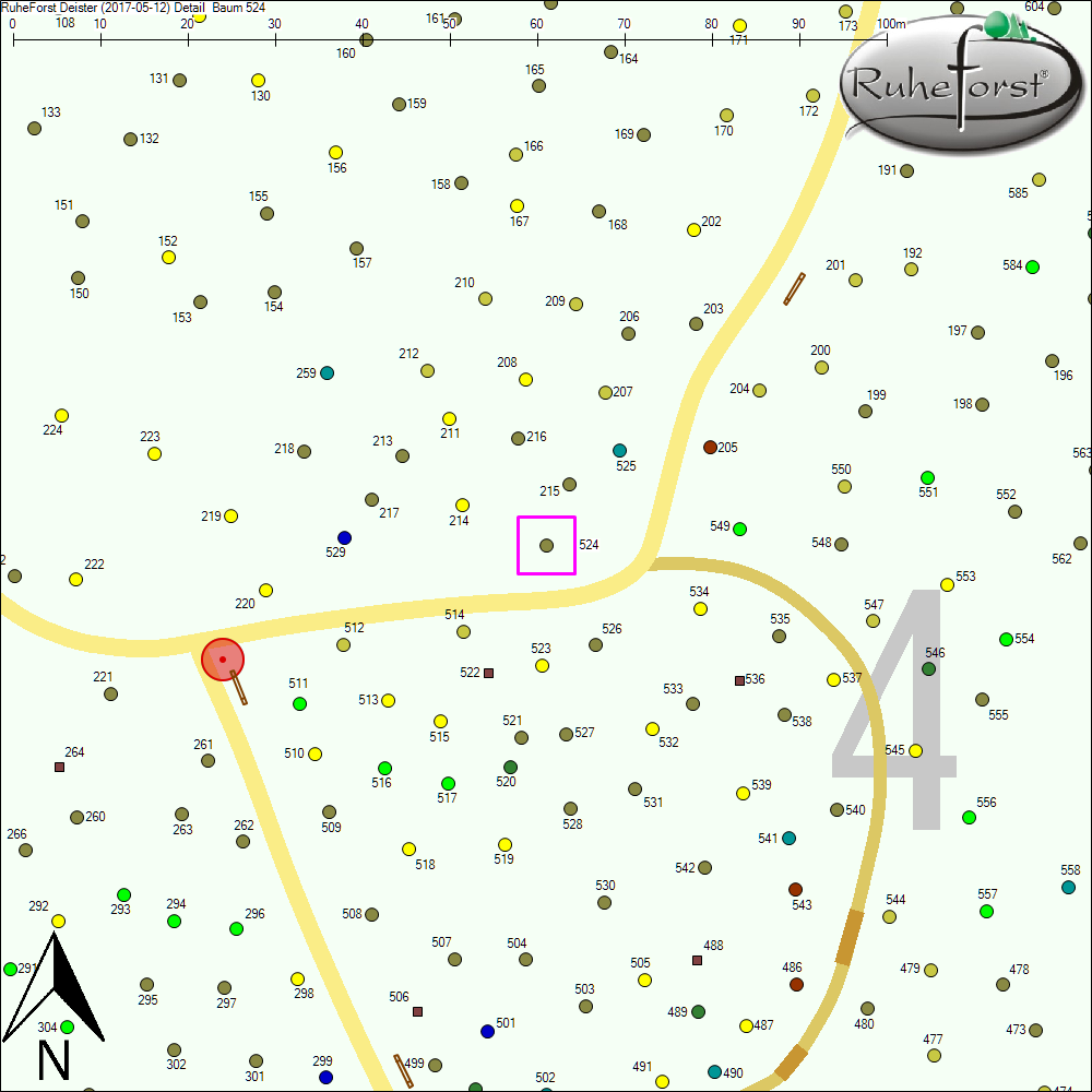 Detailkarte zu Baum 524