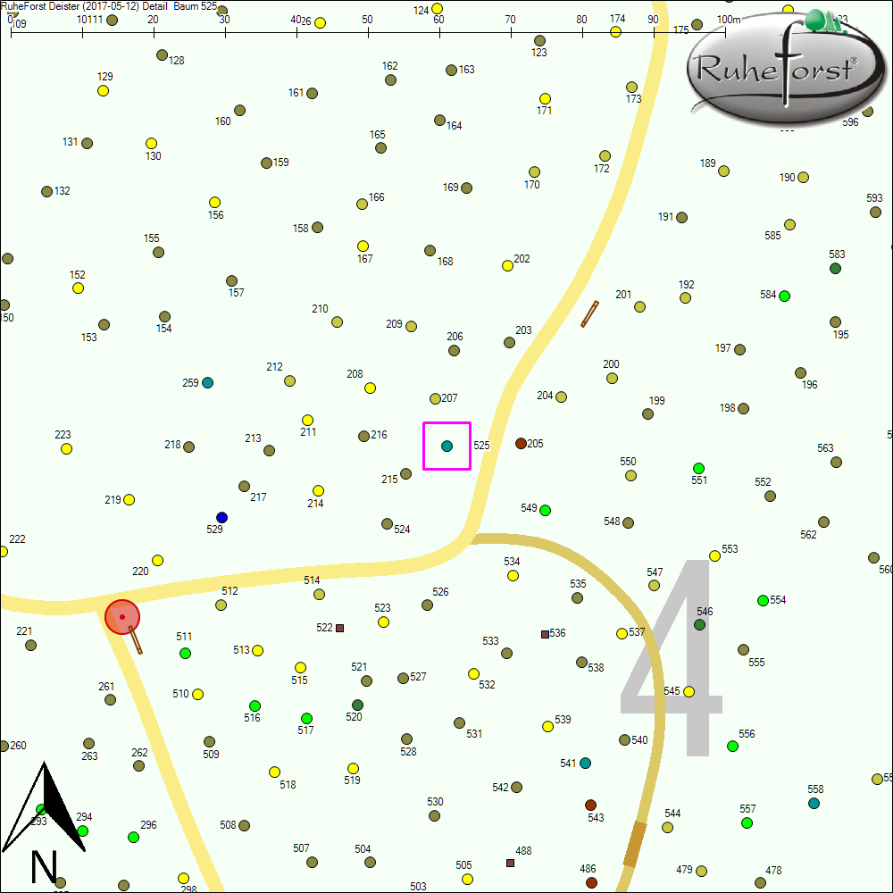 Detailkarte zu Baum 525