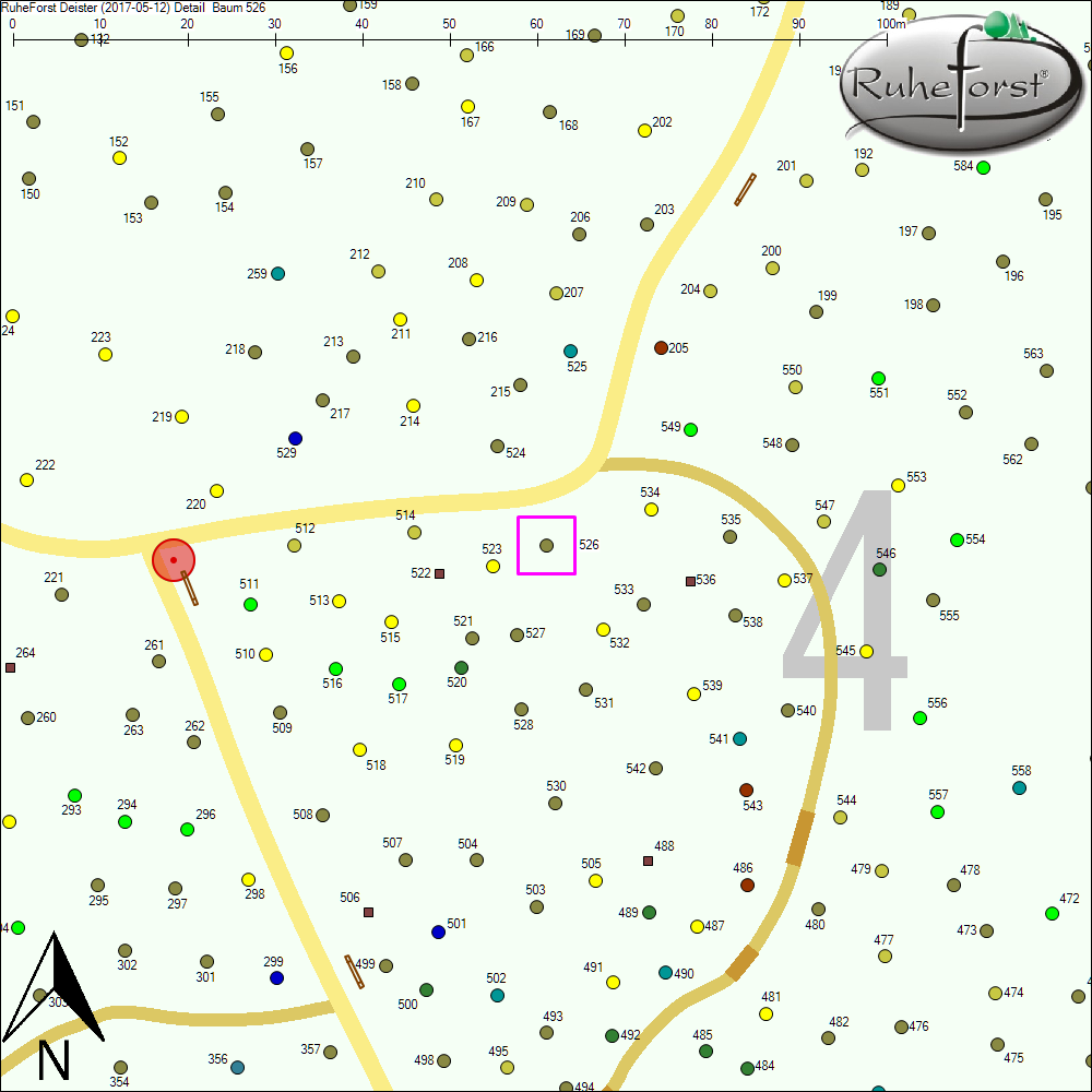 Detailkarte zu Baum 526