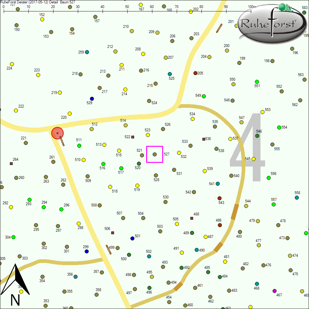 Detailkarte zu Baum 527