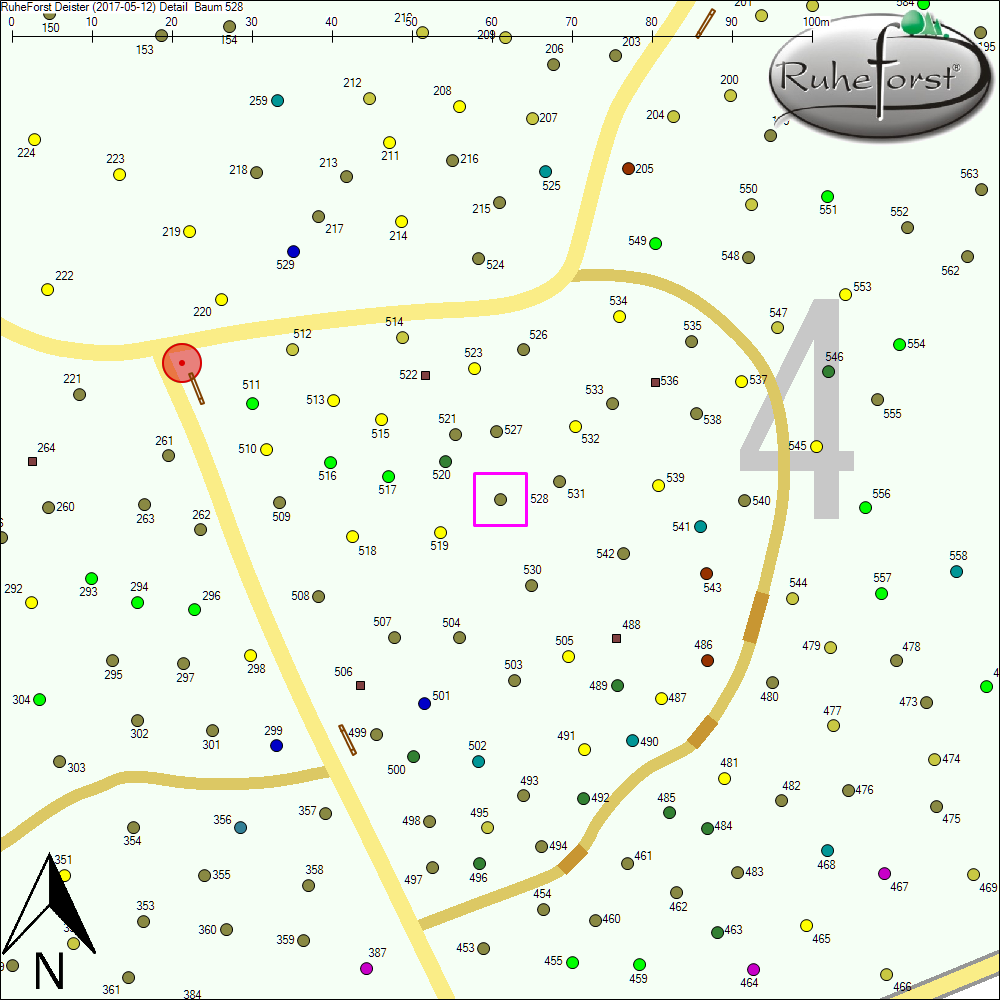 Detailkarte zu Baum 528