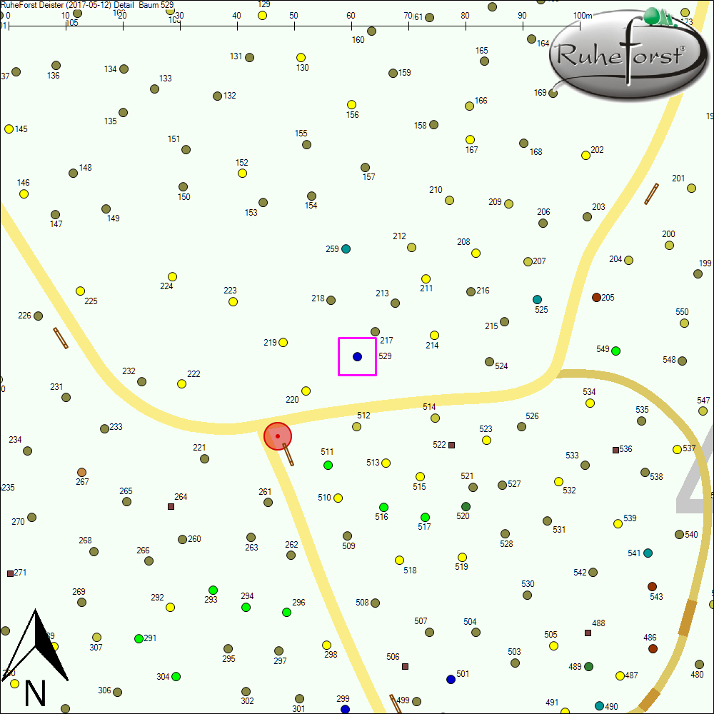 Detailkarte zu Baum 529