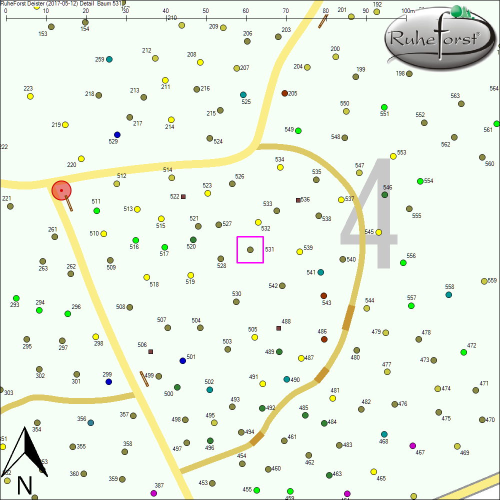 Detailkarte zu Baum 531