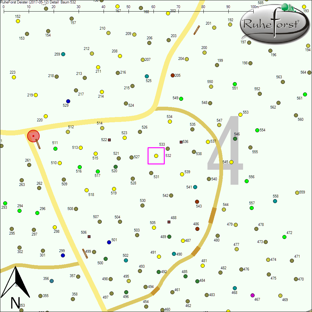 Detailkarte zu Baum 532