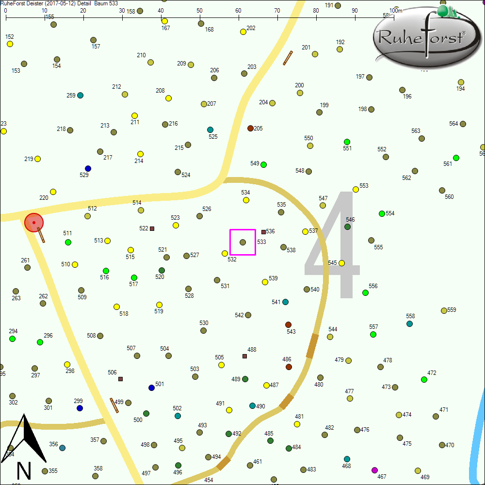Detailkarte zu Baum 533