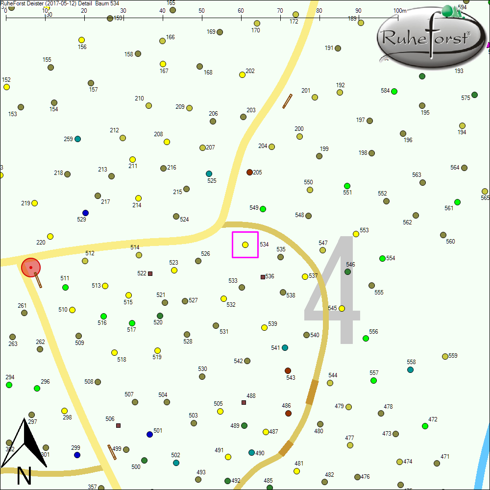 Detailkarte zu Baum 534