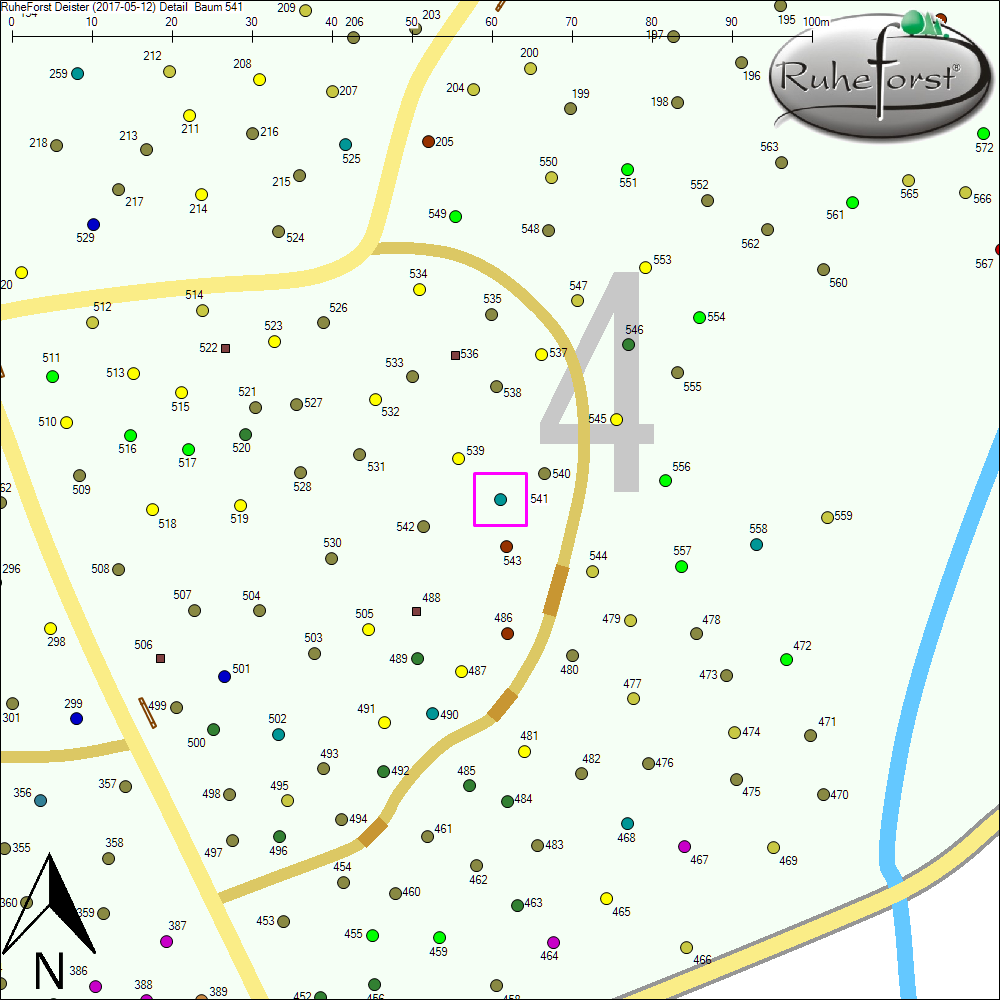 Detailkarte zu Baum 541