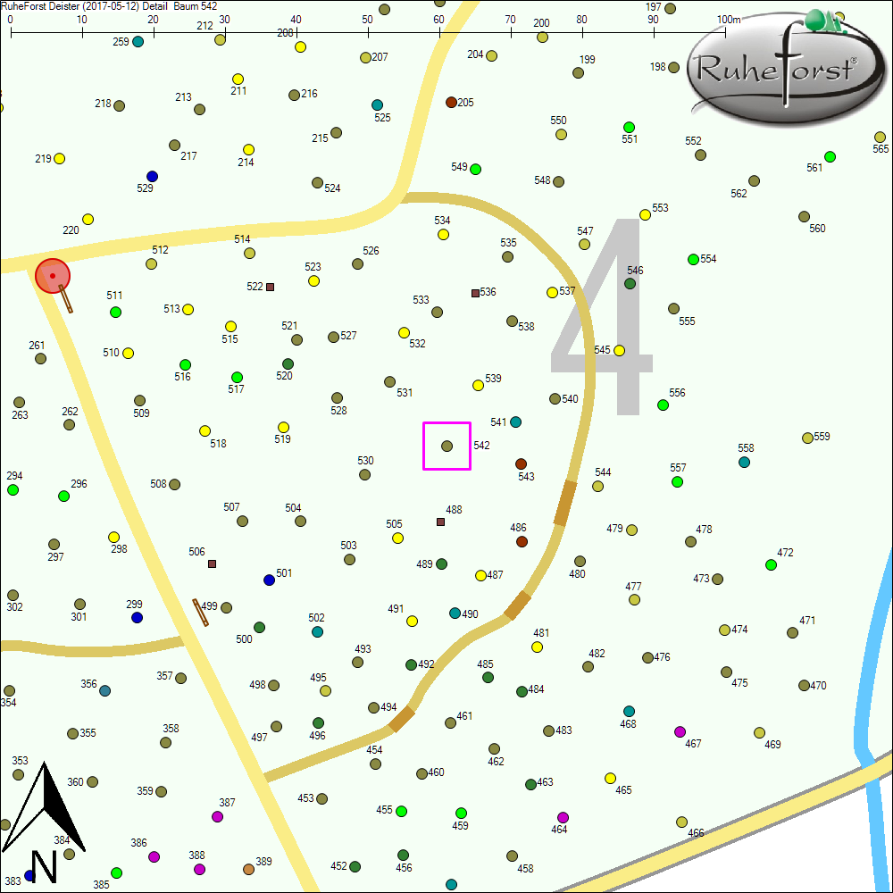 Detailkarte zu Baum 542