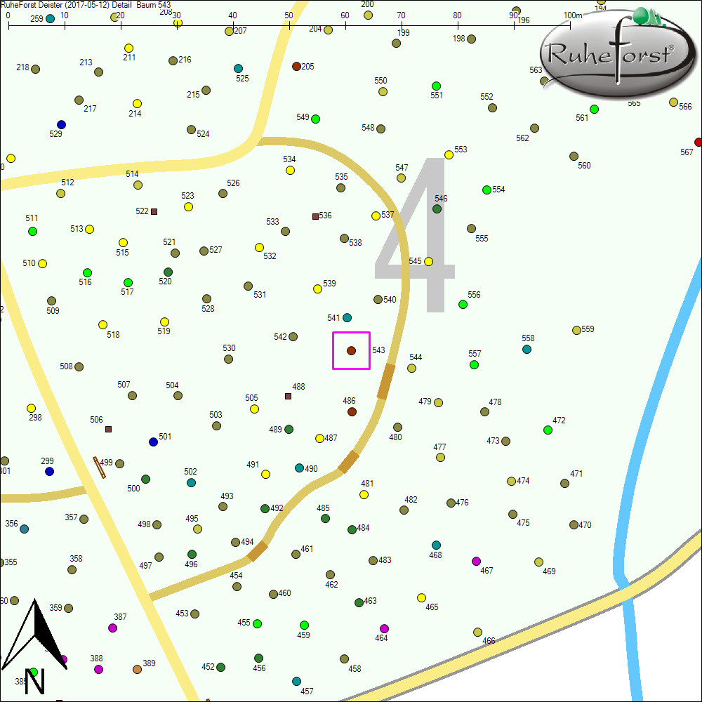 Detailkarte zu Baum 543