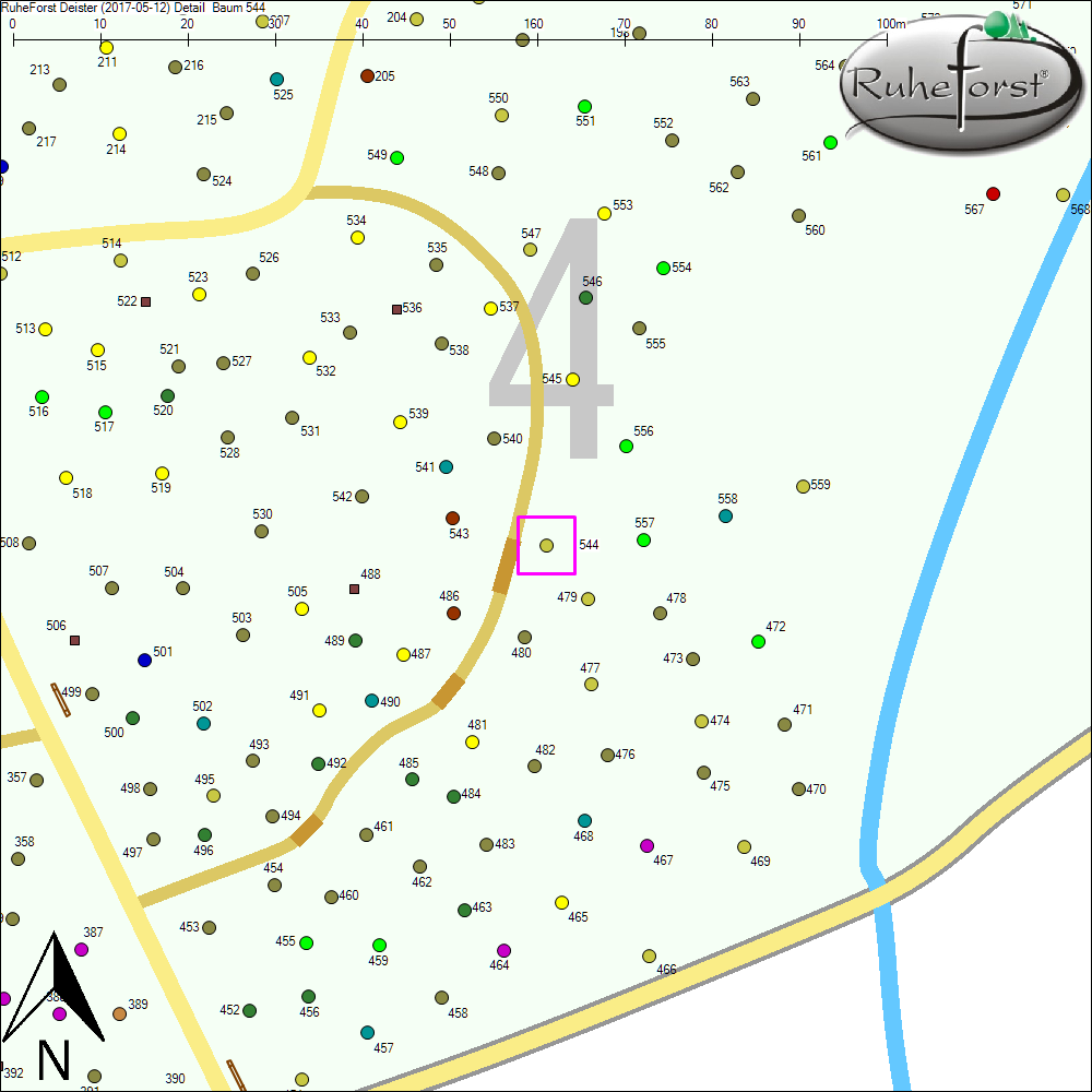 Detailkarte zu Baum 544