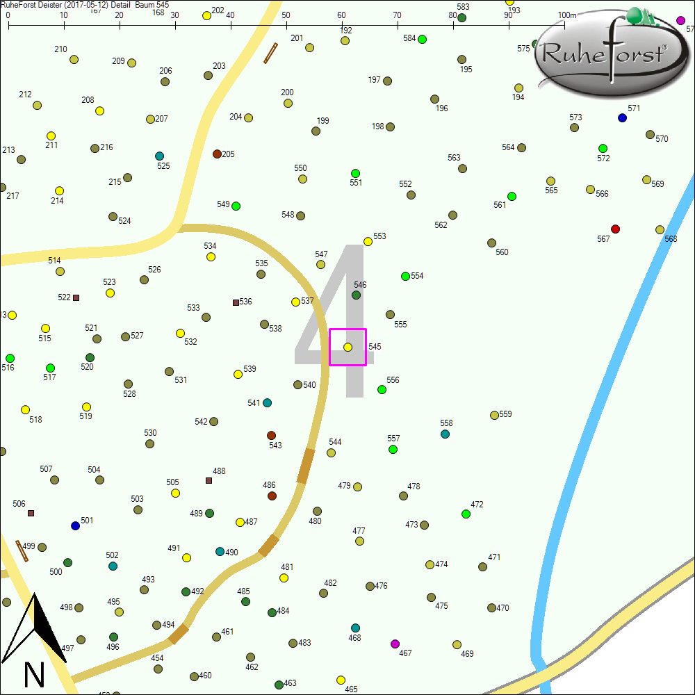Detailkarte zu Baum 545