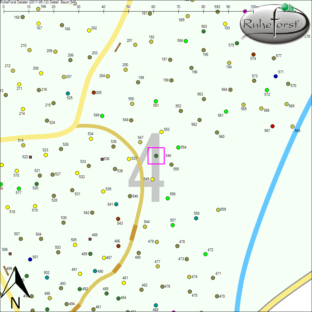 Detailkarte zu Baum 546