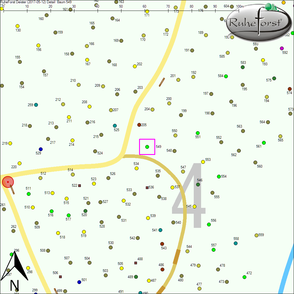 Detailkarte zu Baum 549
