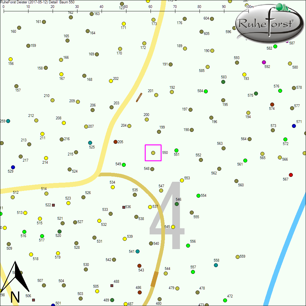 Detailkarte zu Baum 550