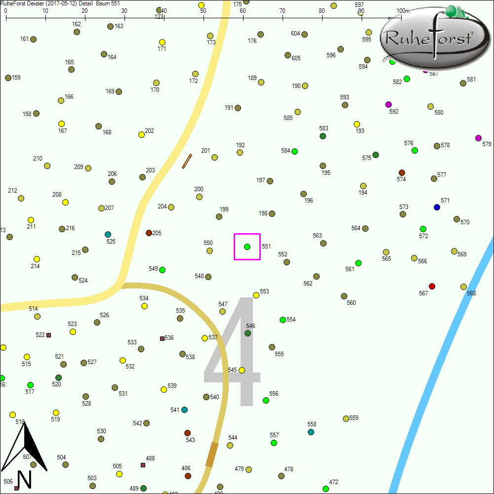 Detailkarte zu Baum 551