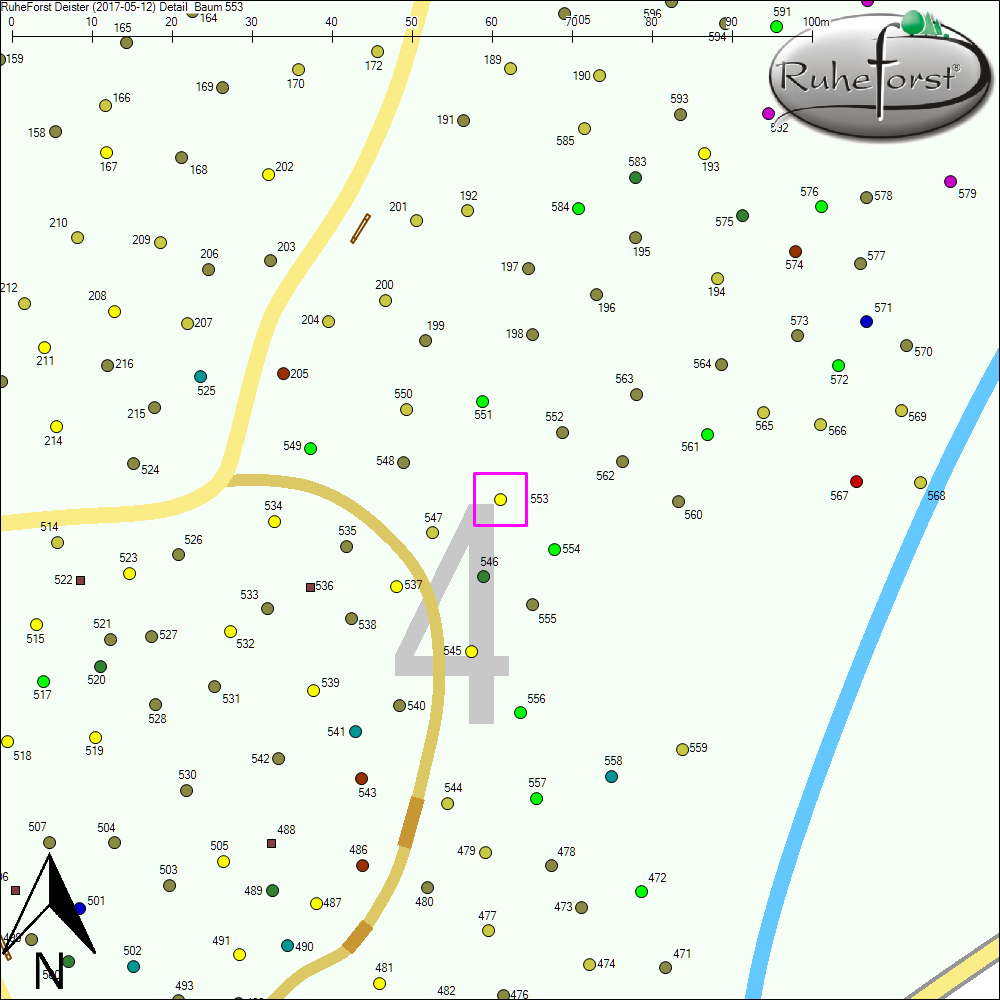 Detailkarte zu Baum 553