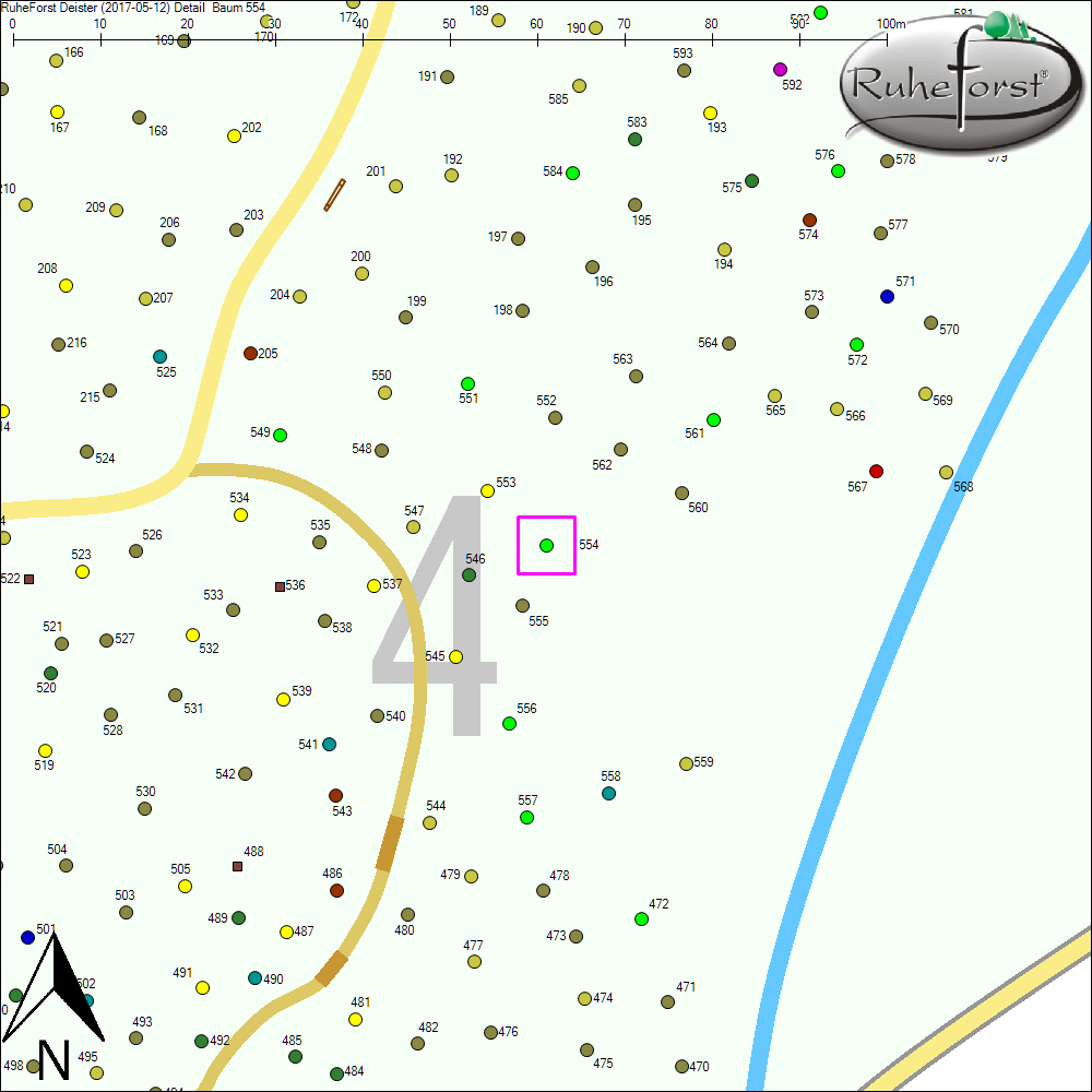 Detailkarte zu Baum 554