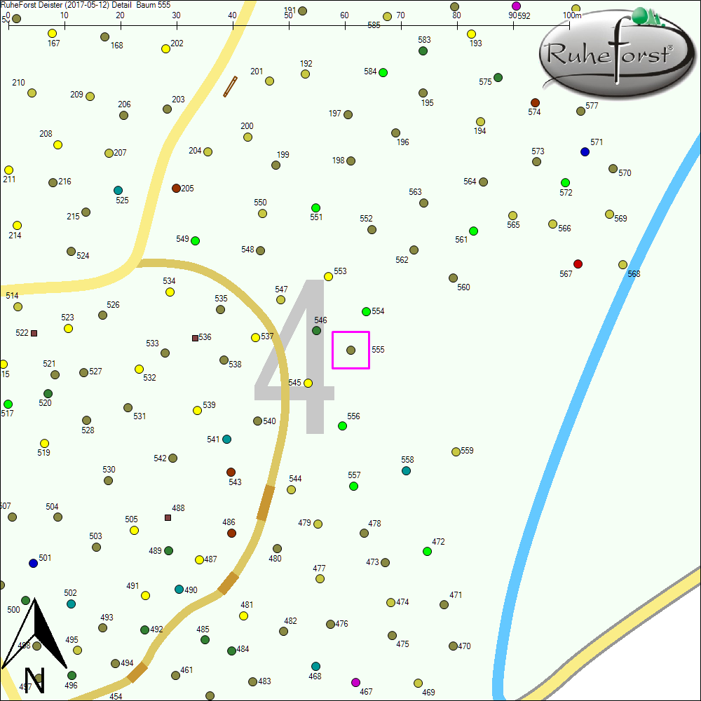 Detailkarte zu Baum 555