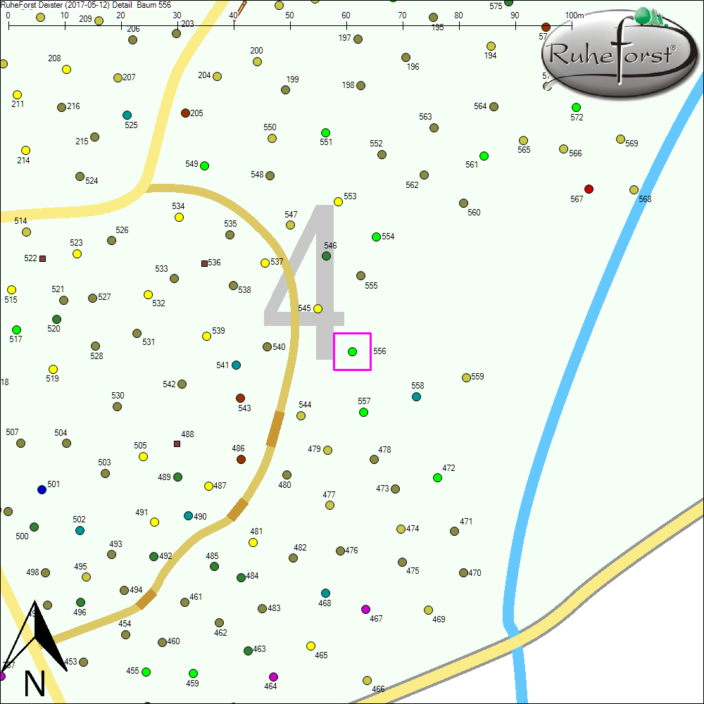 Detailkarte zu Baum 556
