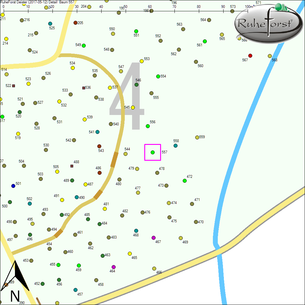 Detailkarte zu Baum 557