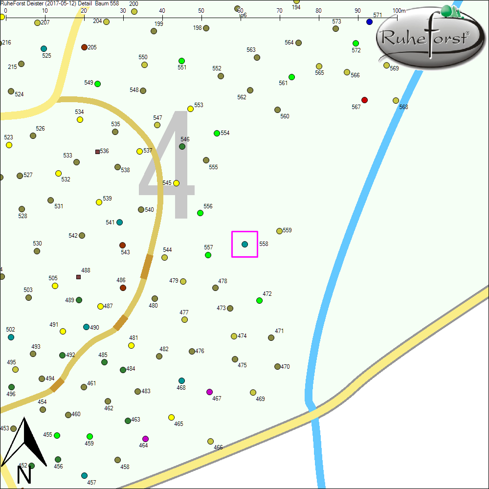 Detailkarte zu Baum 558