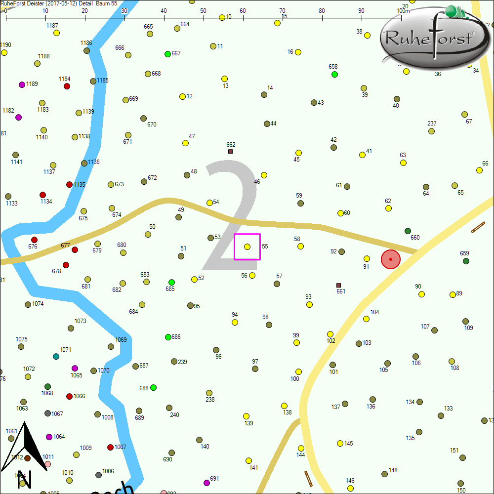 Detailkarte zu Baum 55