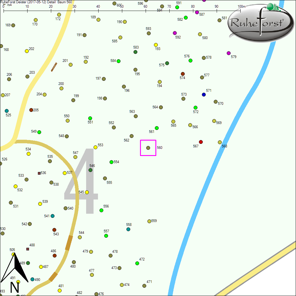 Detailkarte zu Baum 560